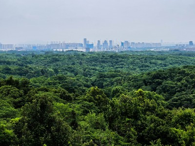 Laoshan National Forest Park