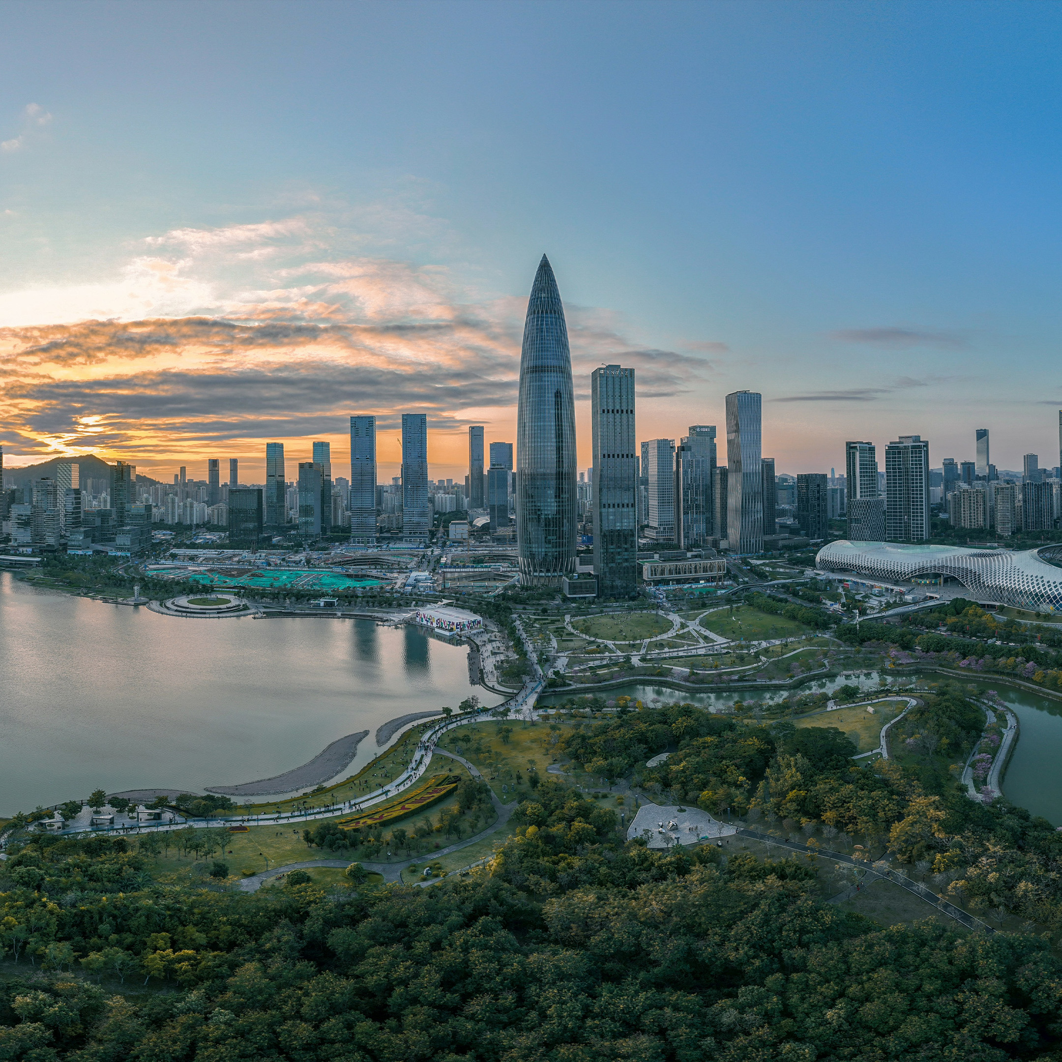 Shenzhen Skyline